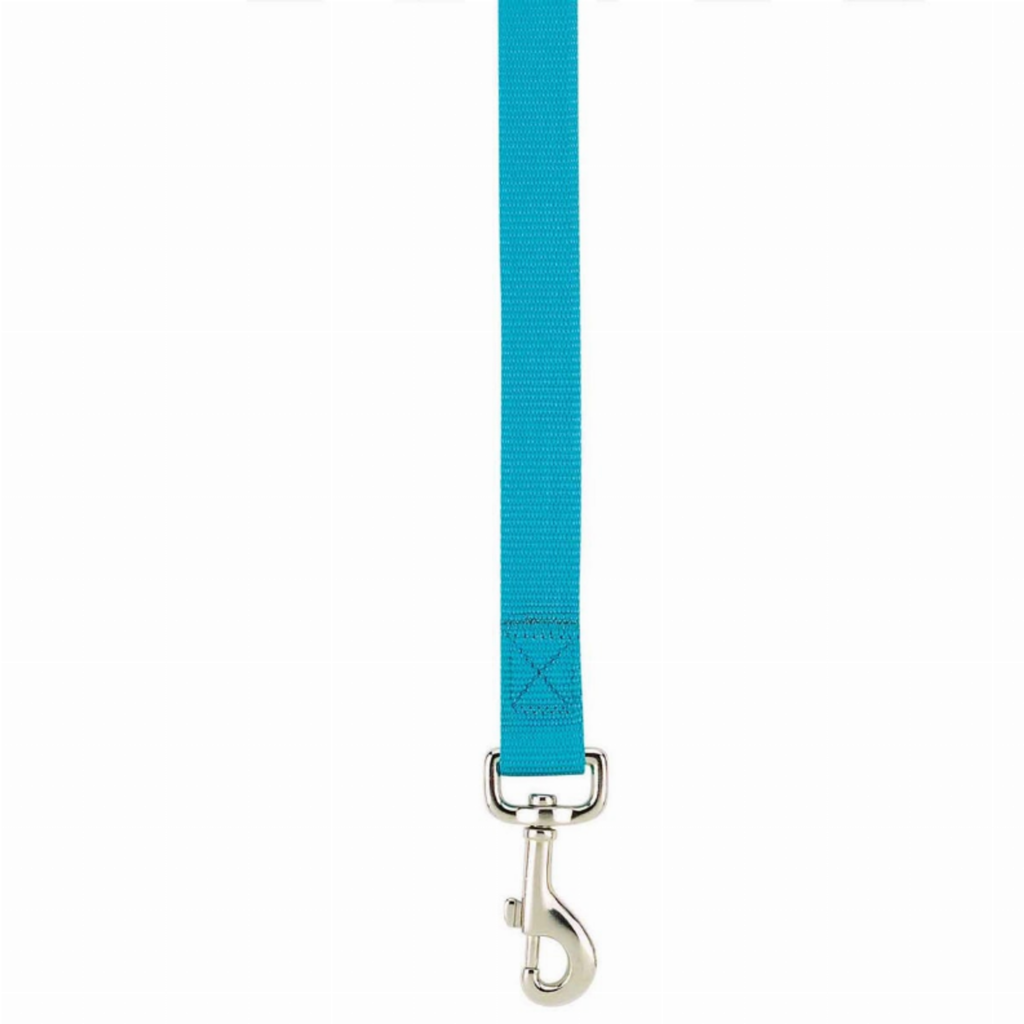 Lead 4FtX5/8In for Dogs, color blue