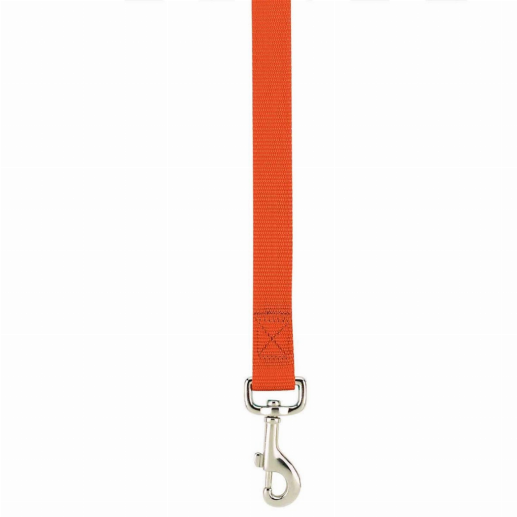 Lead 6FtX5/8In for Dogs, color orange