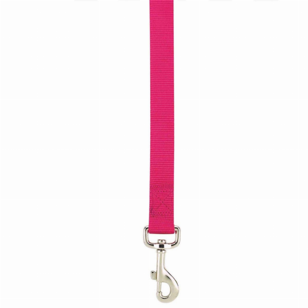 Lead 6FtX5/8In for Dogs, color pink