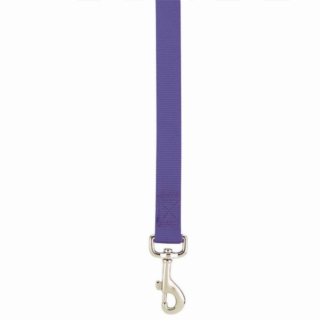 Lead 6FtX5/8In for Dogs, color purple