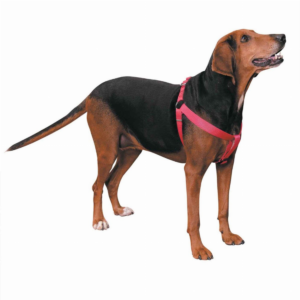 Nylon 2 Step Harness for Dogs, size 9-15In, color pink