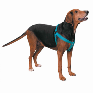 Nylon 2 Step Harness for Dogs, size 9-15In, color blue