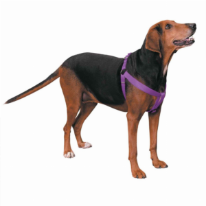 Nylon 2 Step Harness for Dogs, size 9-15In, color purple