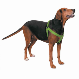 CC Nylon 2 Step Harness 15-25In Grn