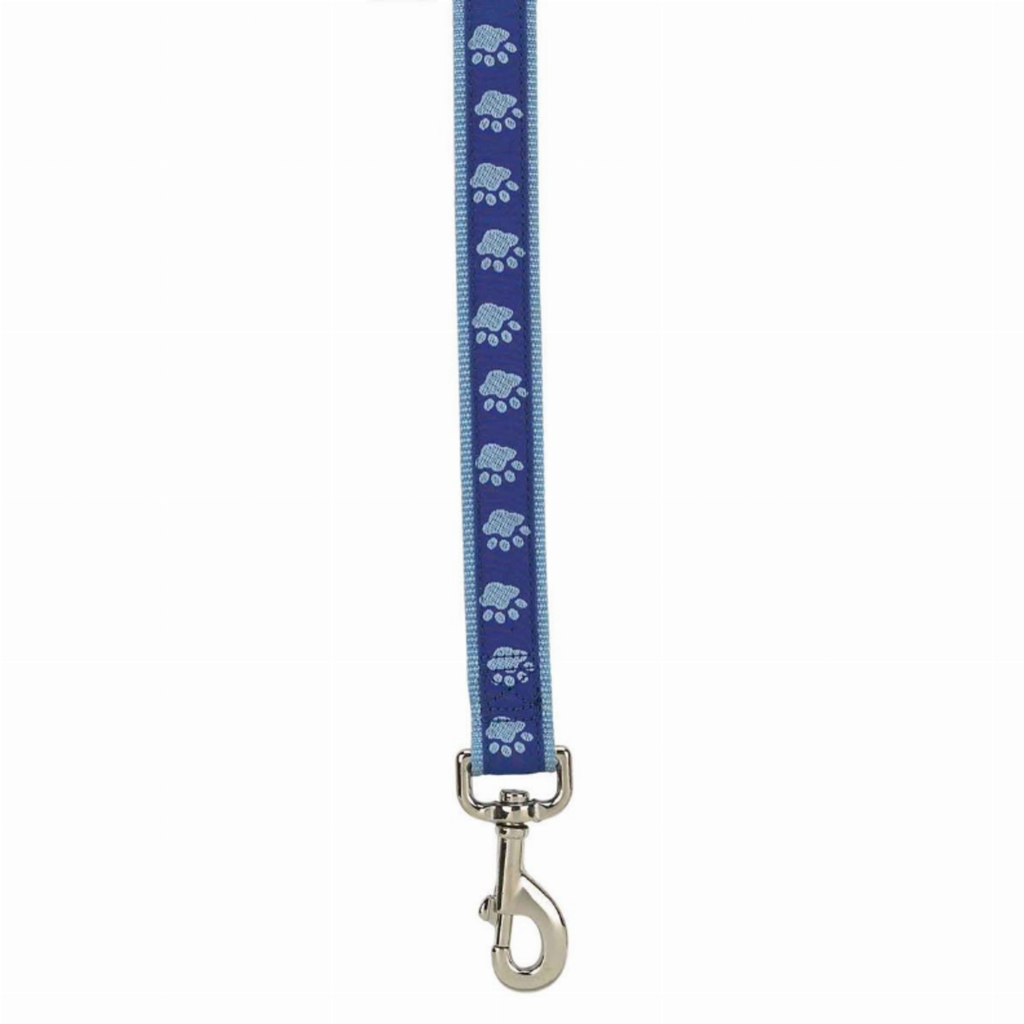 CC TwoTone Pawprint Lead 4Ftx5/8In Blu
