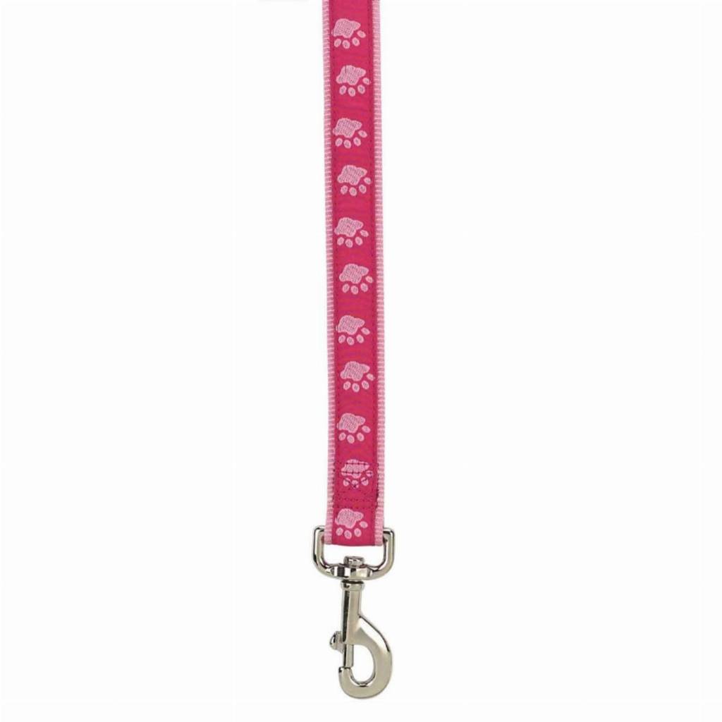 CC TwoTone Pawprint Lead 4Ftx5/8In Pnk