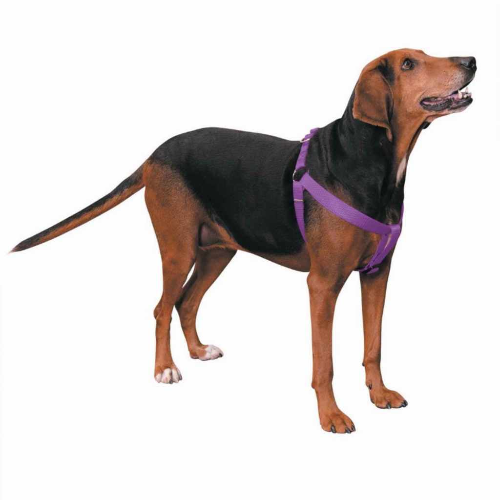 Nylon 2 Step Harness for Dogs, size 25-40In, color purple