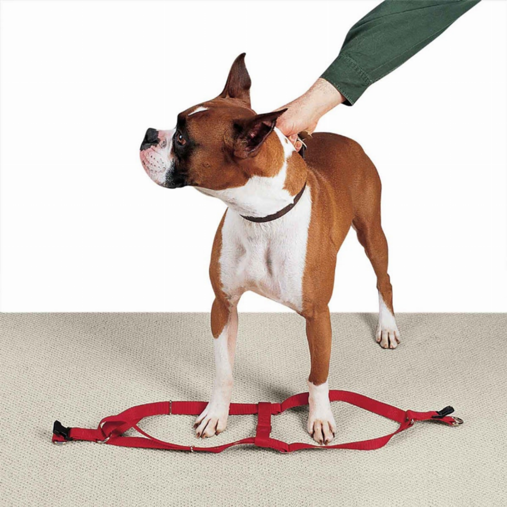 Nylon 2 Step Harness 9-15In Red for Dogs