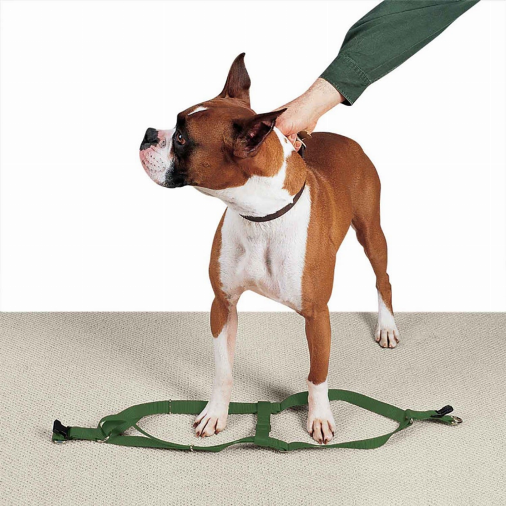 Nylon 2 Step Harness for Dogs, size 25-40In, color green