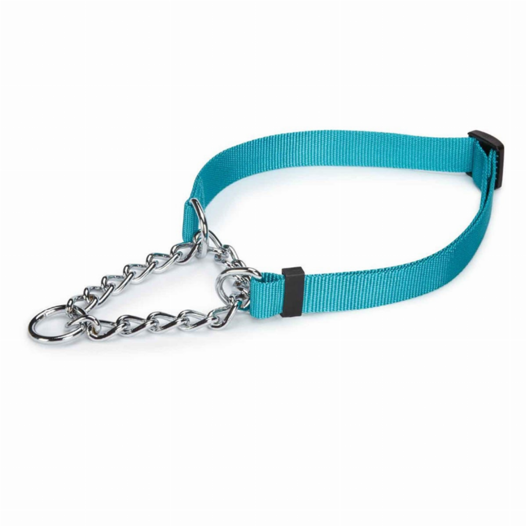 Martingale Collar 22-34In LtB for Dogs