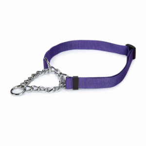 Martingale Collar for Dogs, size 22-34In, color purple