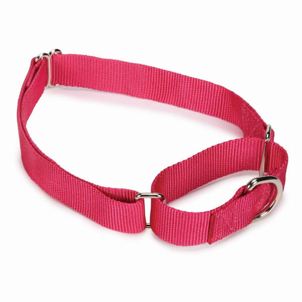 GG Nylon Martingale Collar 10-16In Pnk