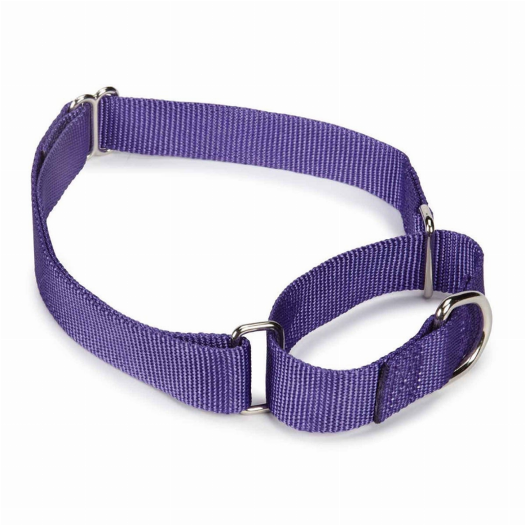 Nylon Martingale Collar for Dogs, size 14-20In, color purple