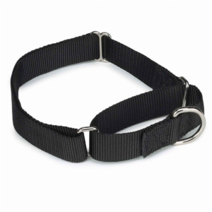 Nylon Martingale Collar for Dogs, size 14-20In, color black