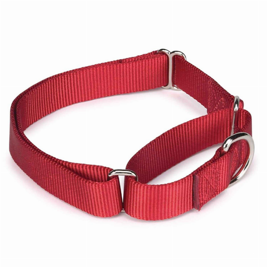 GG Nylon Martingale Collar 18-26In Red