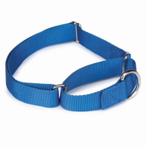 Nylon Martingale Collar for Dogs, size 10-16In, color blue