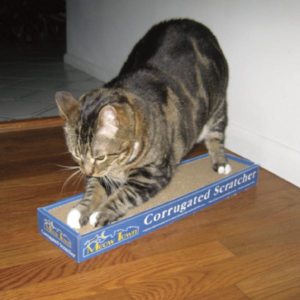 Corrugated Scratcher for Cats