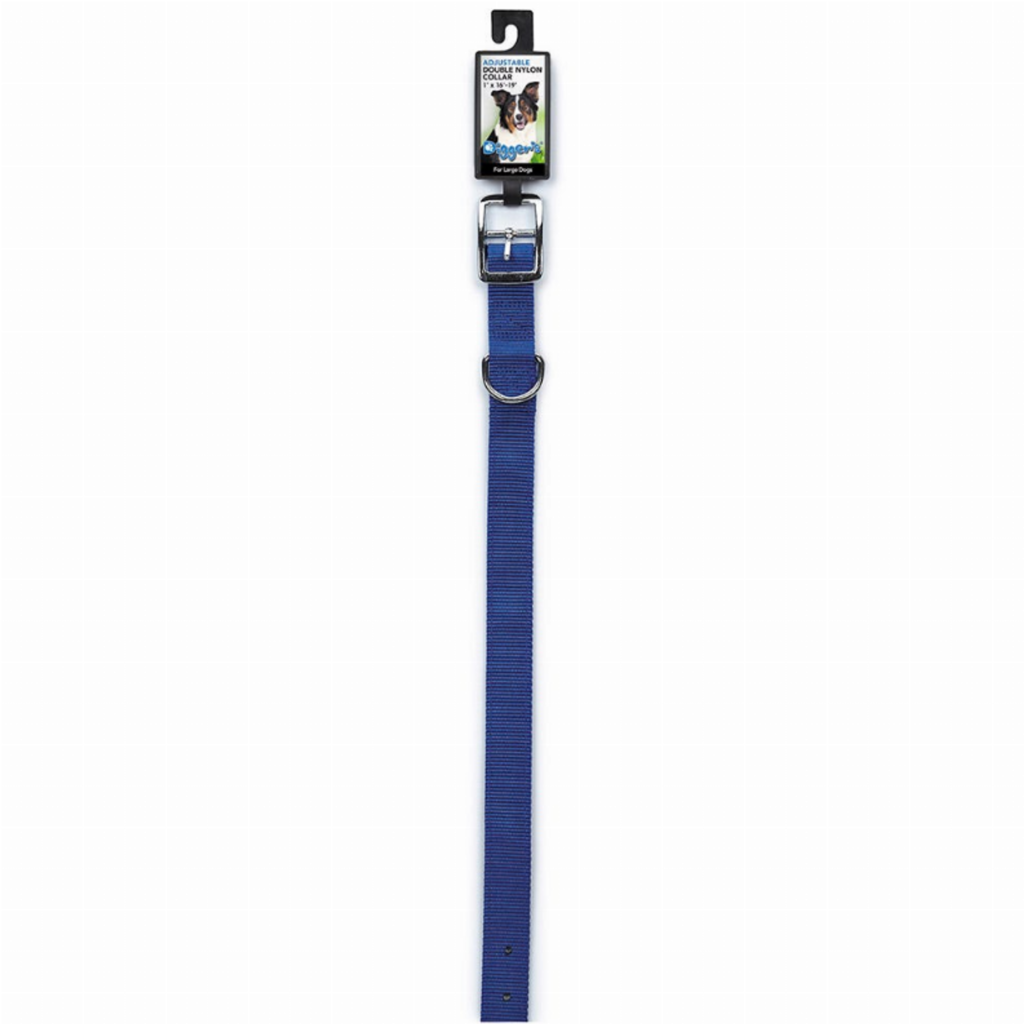 DGR 1in Dbl Nylon Collar 24in Blue