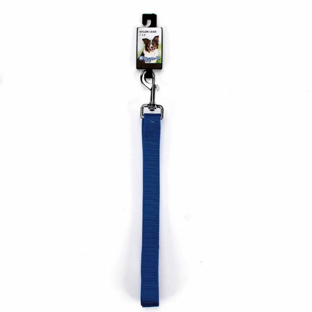 DGR 1in Nylon Lead 72in Blue