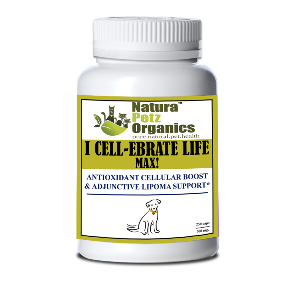 I Cellebrate Life Max - Antioxidant Cellular Boost + Adjunctive Lipoma Support*