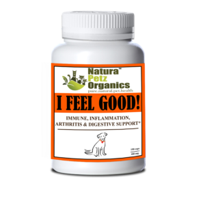 I Feel Good - Immune