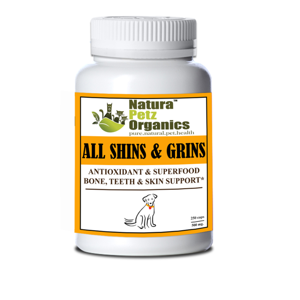 All Shins & Grins Capsules - Antioxidant Super Food Bone, Eye, Teeth & Skin Support Dog & Cat*