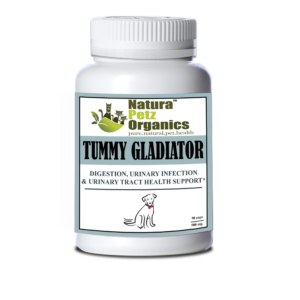 Tummy Gladiator - Digestion