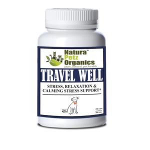 Travel Well - Stress