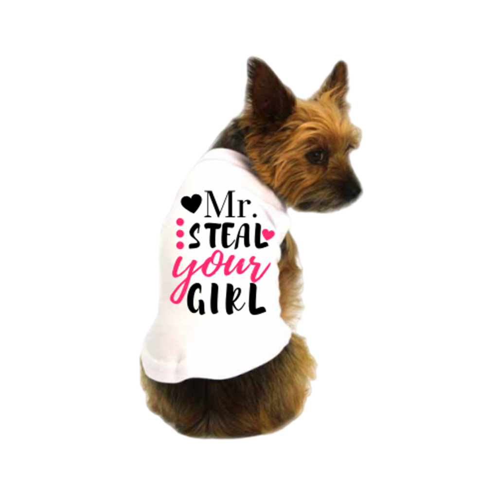 Mr. Steal Your Girl for Dogs