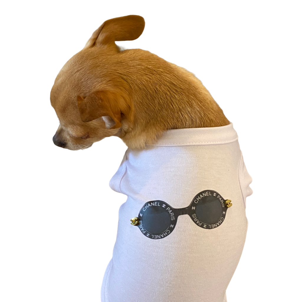 My Summer CC Sunnies for Dogs