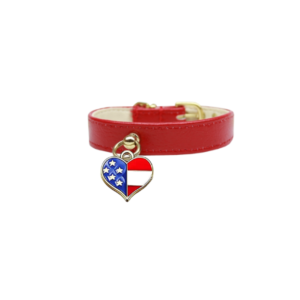 Patriotic Charm Dog Collar