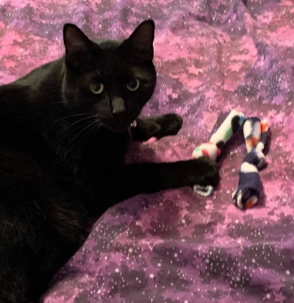Catnip BowTies for Cats