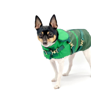 “Green with Envy” - DCNY Equestrian Collection