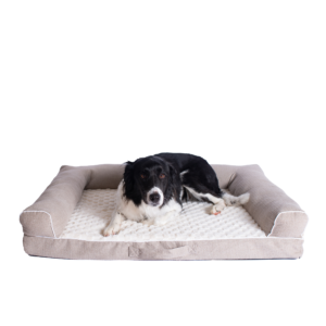 D07B Medium Bolstered Pet Bed Cushion W Memory Foam for Cats