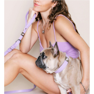 Lavender Rose Collar Charm Set for Dogs
