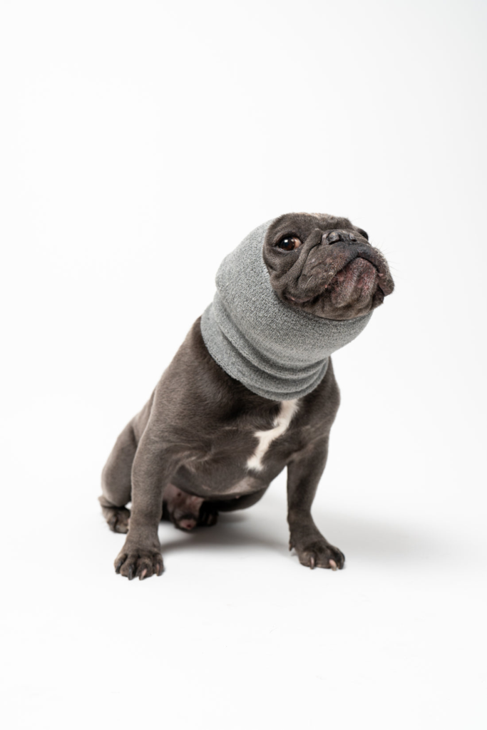 PET HOODZ Dog HOODIES ANXIETY