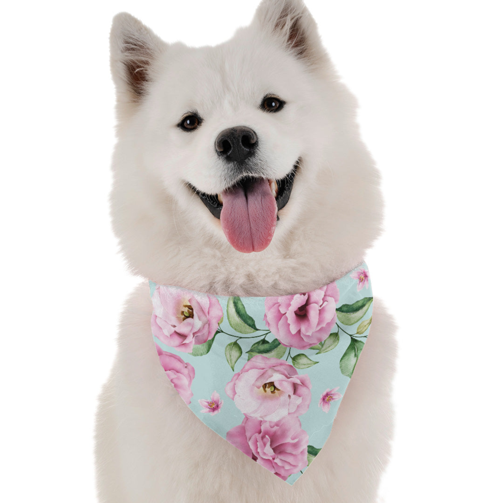 Rose for Dogs