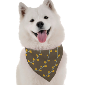 Aspen