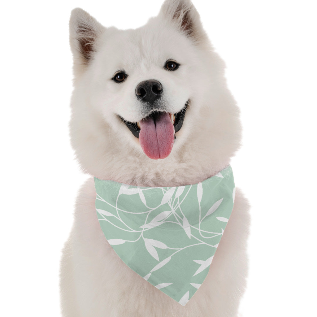 Reed for Dogs