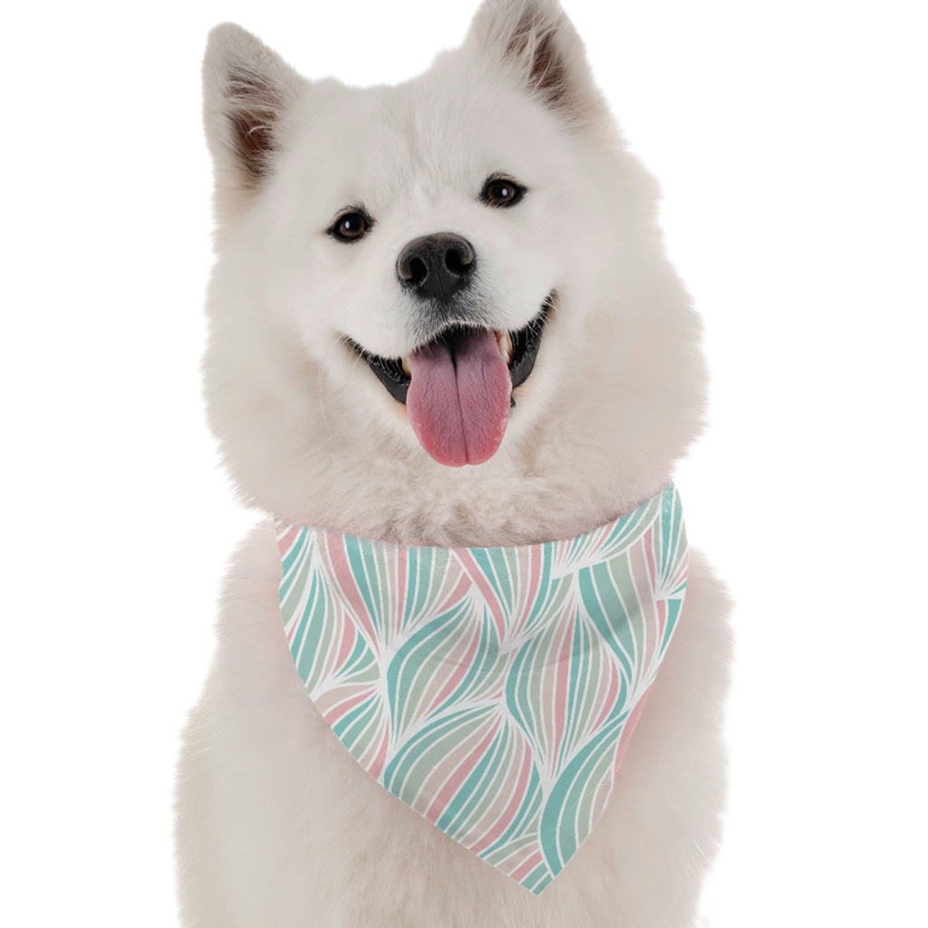 Remi for Dogs