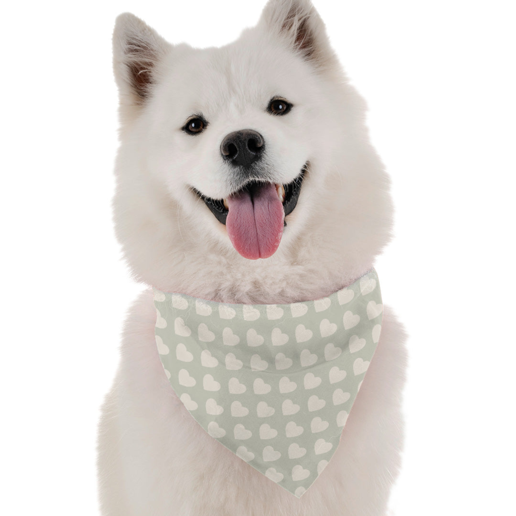 Sweetie for Dogs