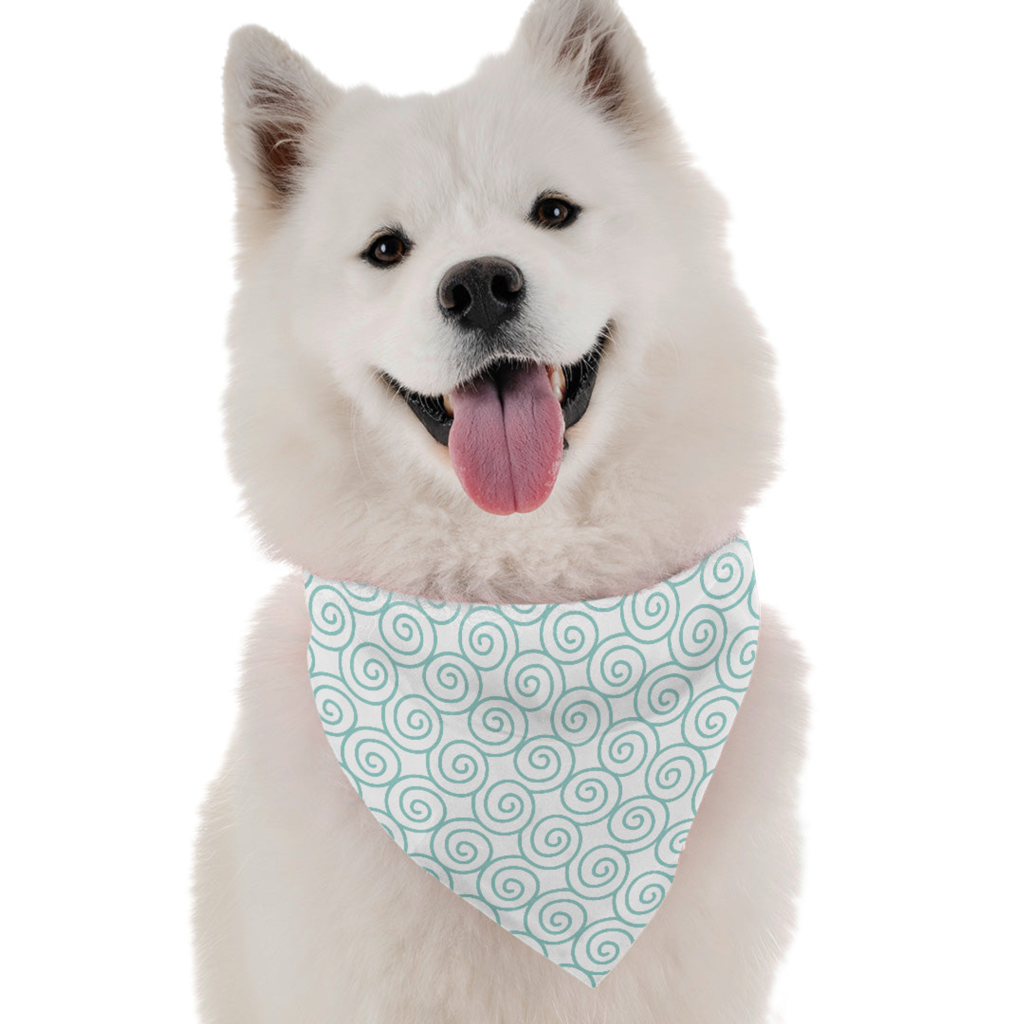 Springy for Dogs