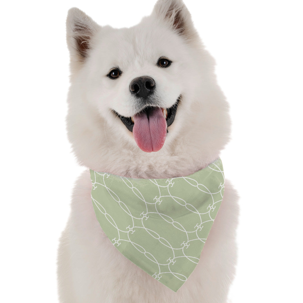 Terra for Dogs