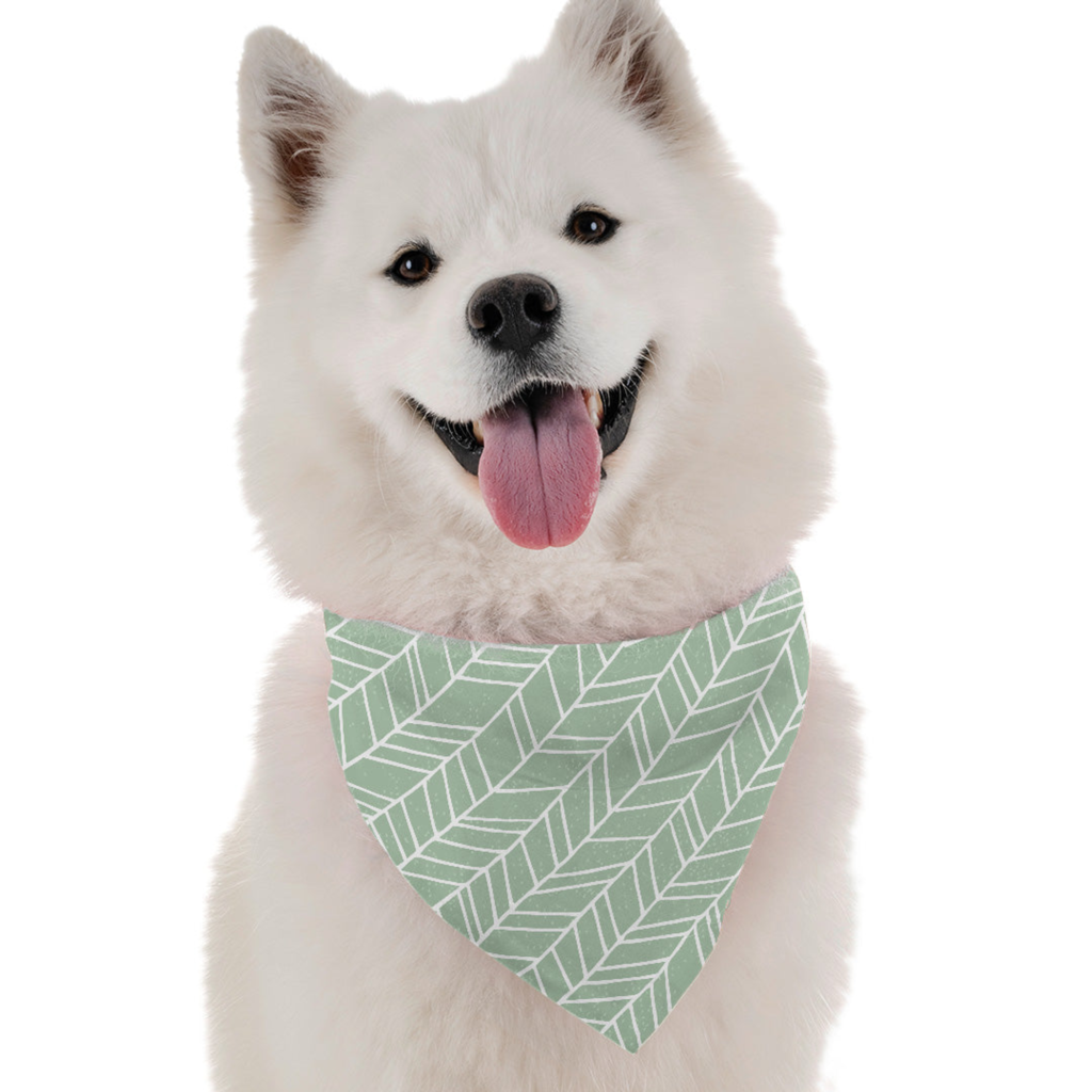 Jade for Dogs