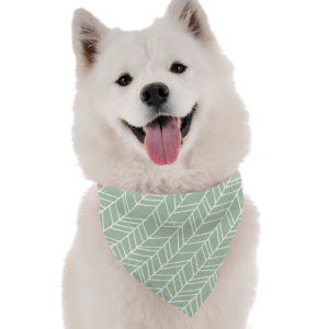 Jade for Dogs