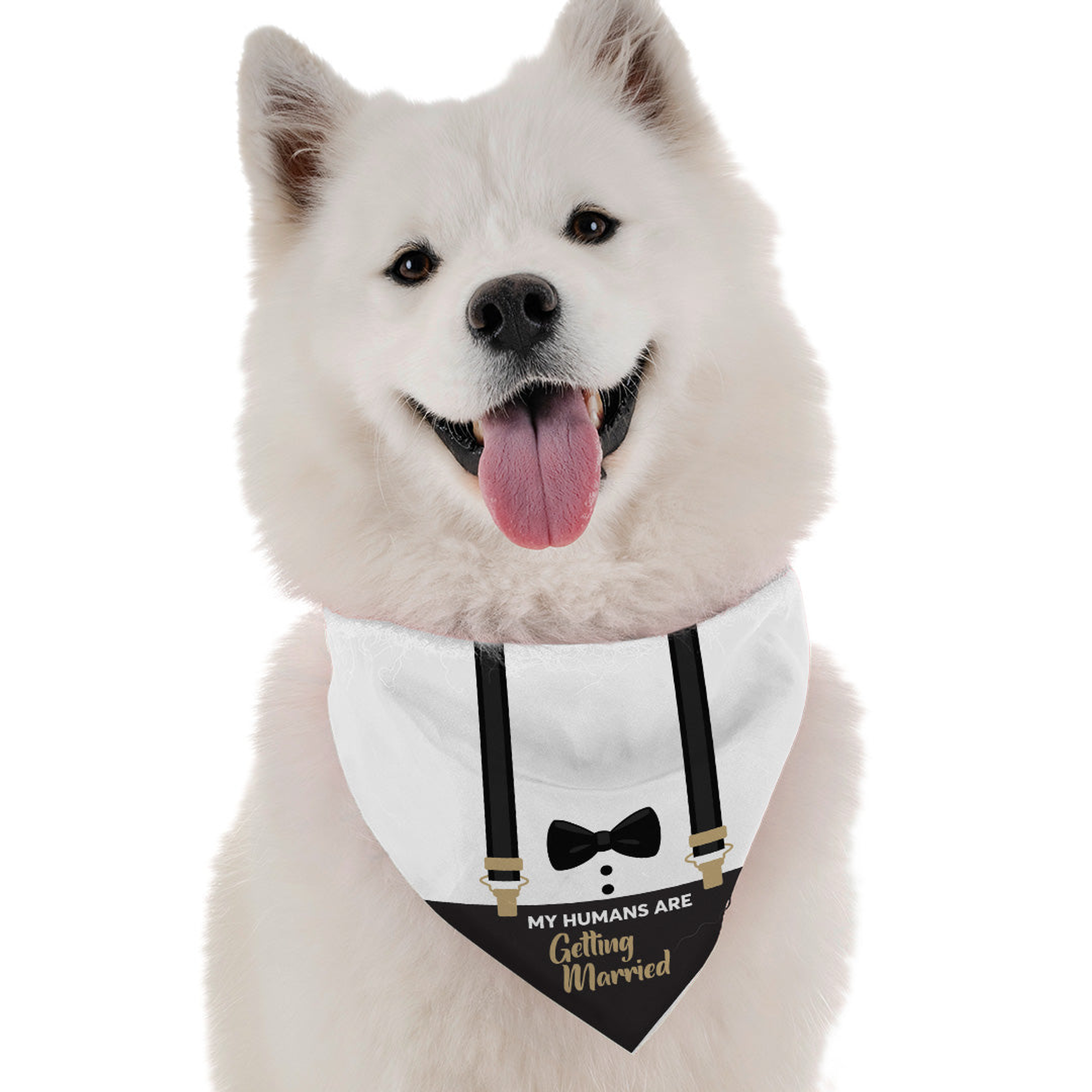 My Humans Are Getting Married for Dogs