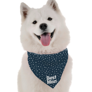 Best man for Dogs