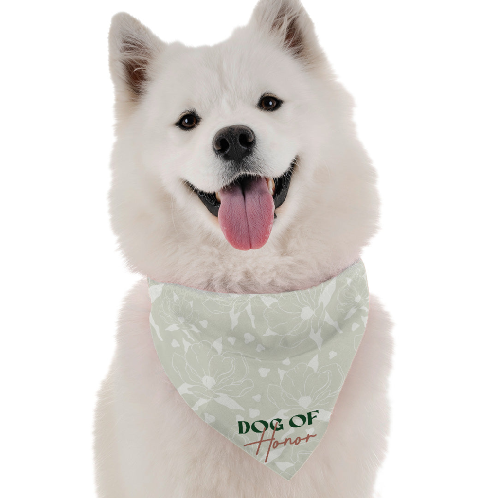 Dog Honor