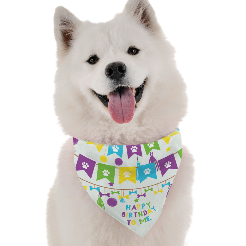 Happy Birthday To Me for Dogs, size Boy