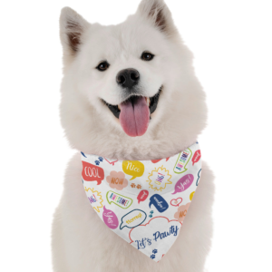 Let's Pawty for Dogs, size Boy
